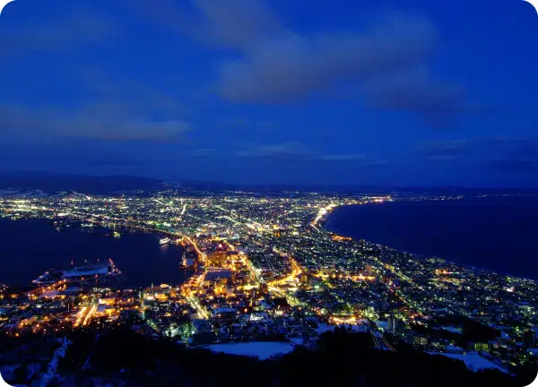 函館山夜景鑑賞<br>（函館山ロープウェイ利用）